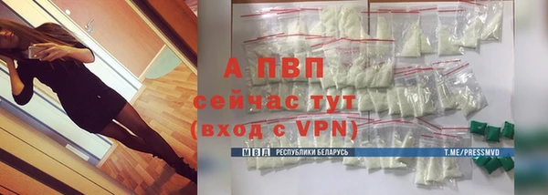 ПСИЛОЦИБИНОВЫЕ ГРИБЫ Зеленодольск