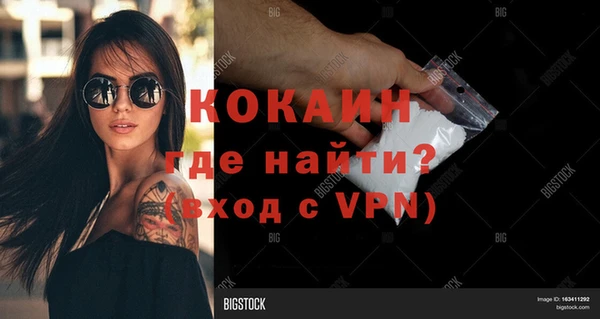 ПСИЛОЦИБИНОВЫЕ ГРИБЫ Зеленодольск
