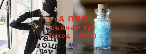амф Зерноград