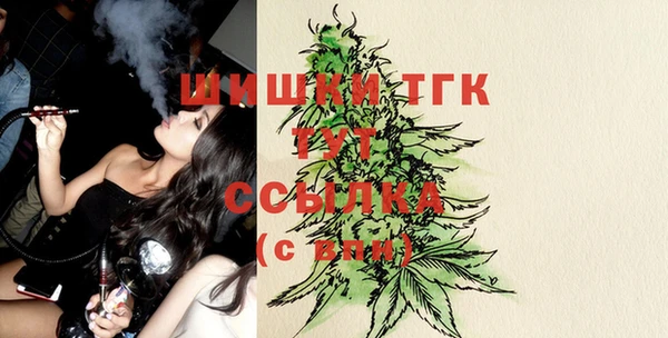 ПСИЛОЦИБИНОВЫЕ ГРИБЫ Зеленодольск