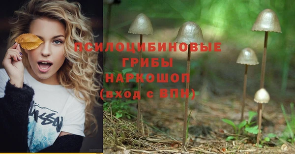 сатива Инта