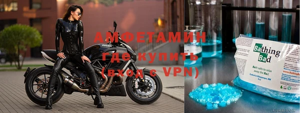 гидра Инсар