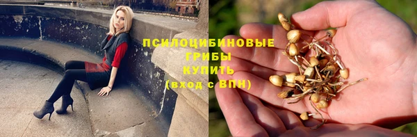 apvp Зеленокумск