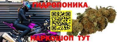 apvp Краснокаменск