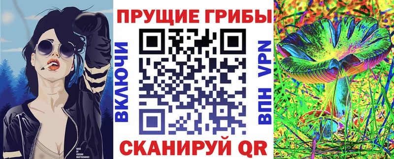 продажа наркотиков Солнечногорск Псилоцибиновые грибы MAGIC MUSHROOMS