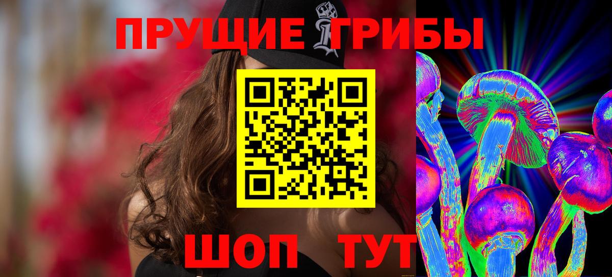 Галлюциногенные грибы GOLDEN TEACHER  Вход с VPN  Солнечногорск 