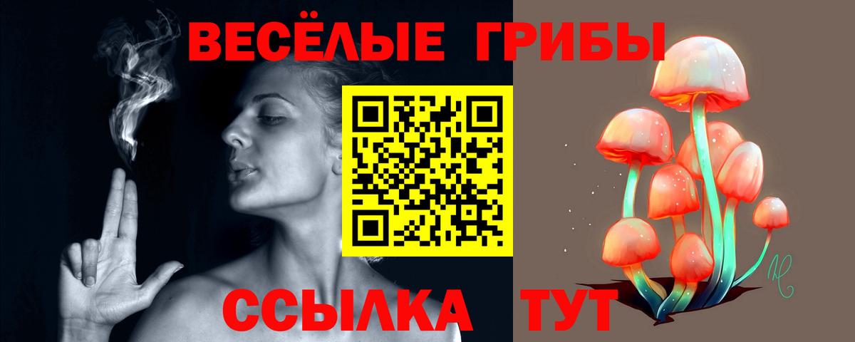 Псилоцибиновые грибы мицелий Солнечногорск